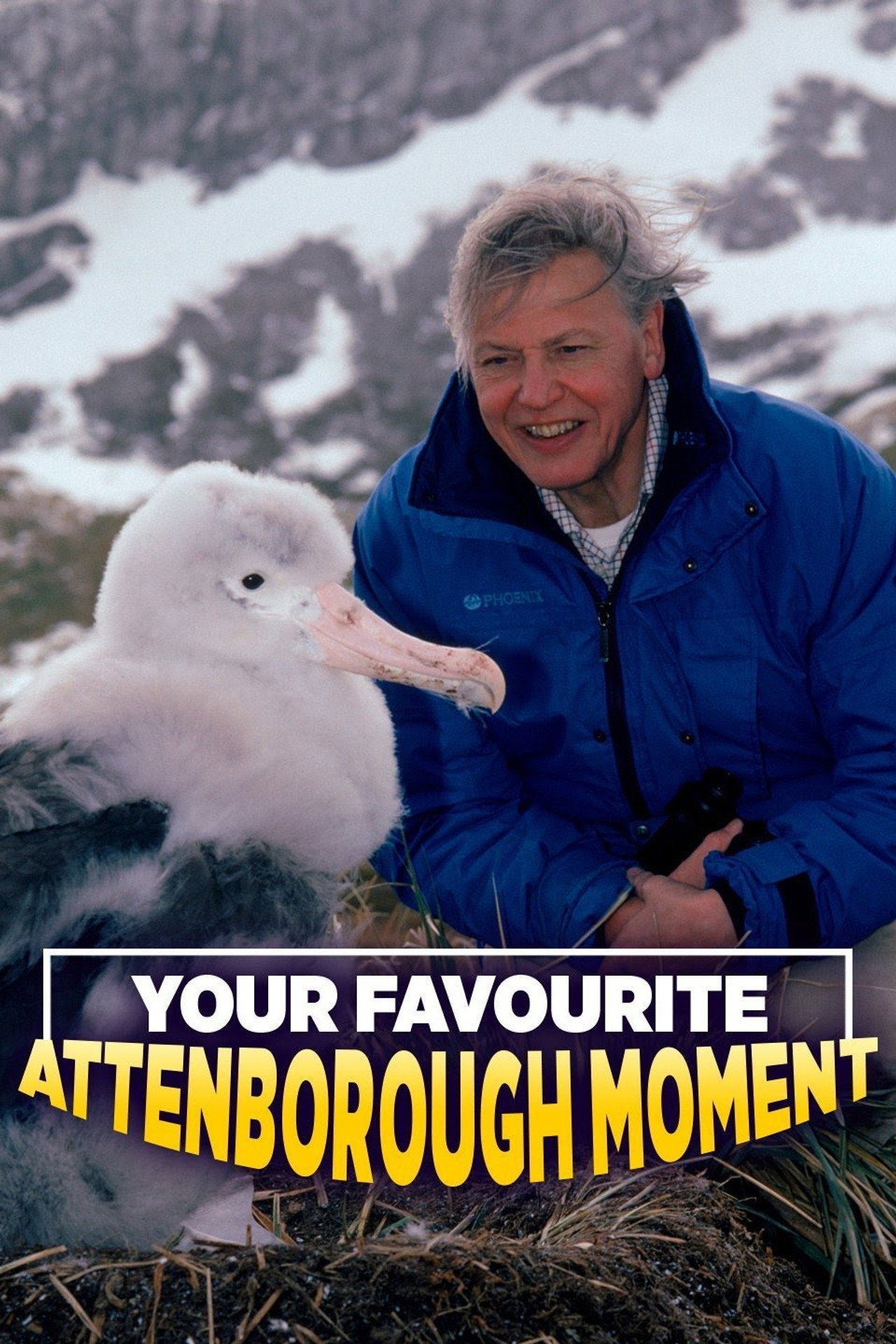 Your Favourite Attenborough Moment
