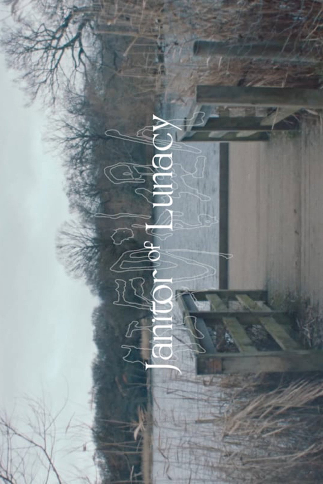 狂気の管理人 filmaffisch
