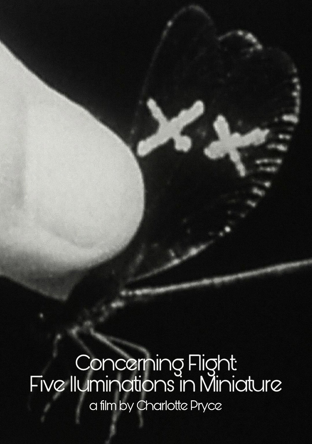 Concerning Flight: Five Illuminations In Miniature filmaffisch