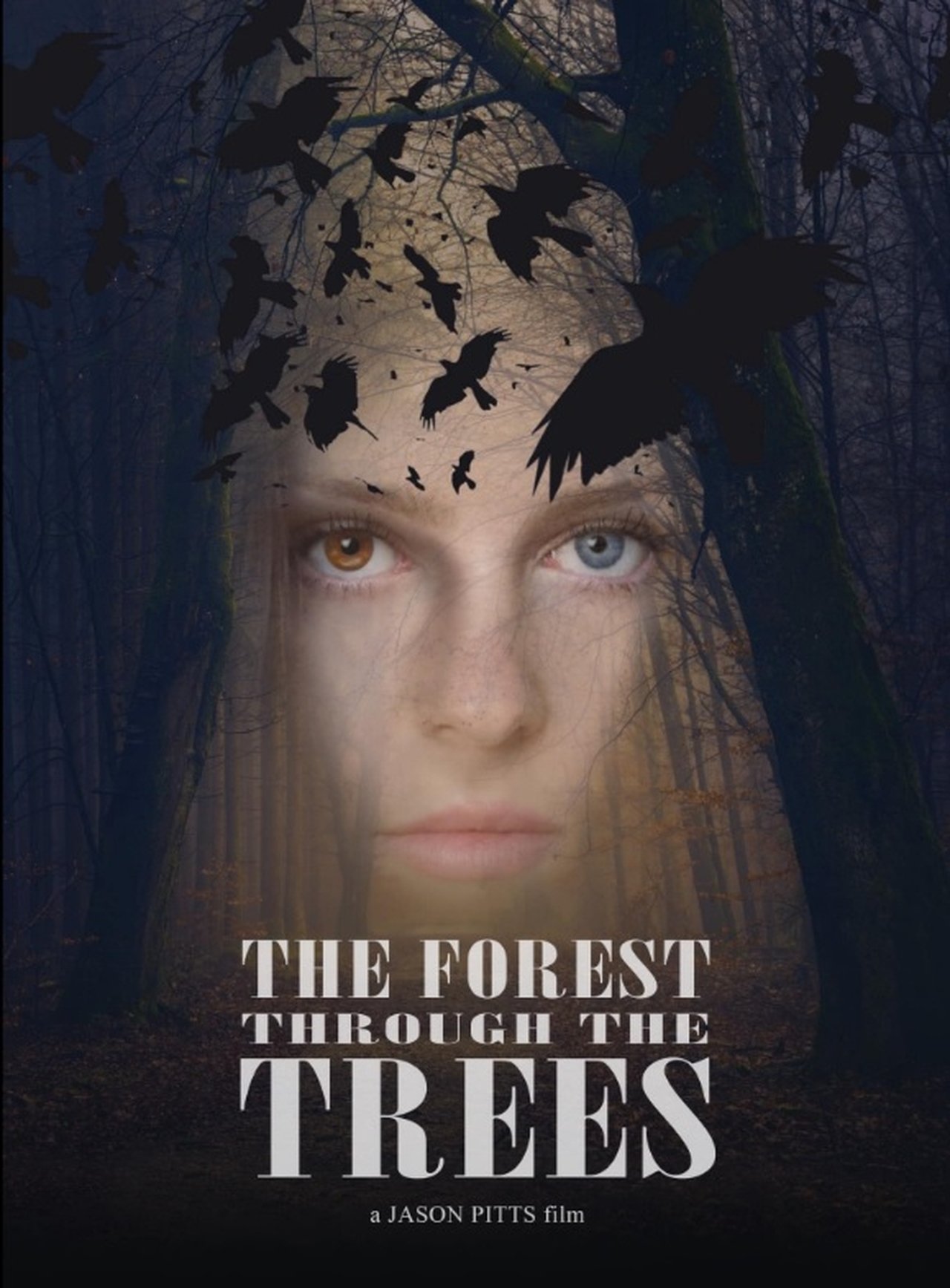 The Forest Through the Trees The Forest Through the Trees