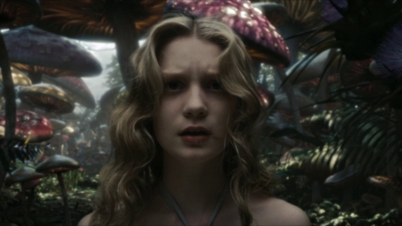 Captura TMDB