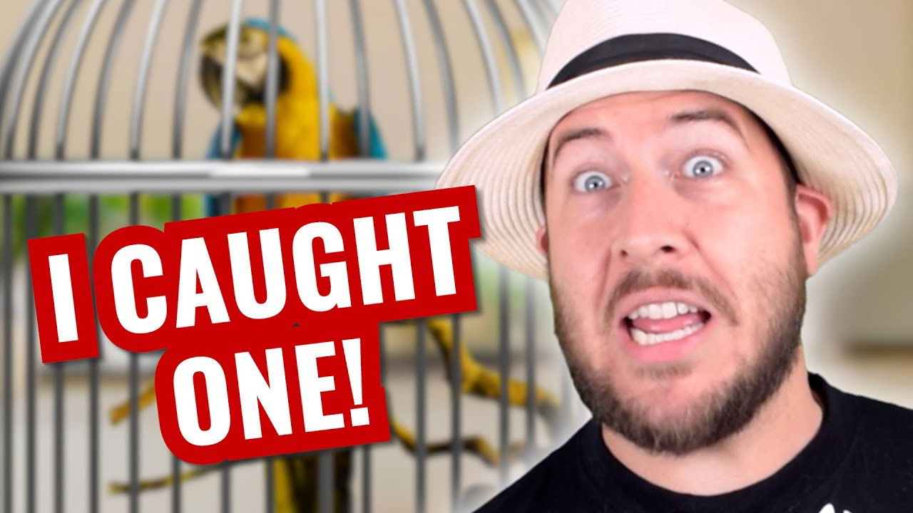 The First Guy — Épisode 8