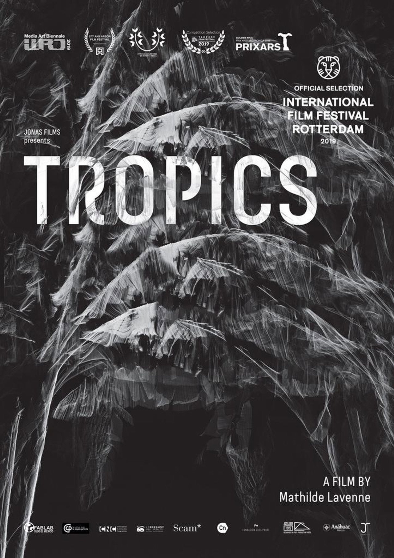 Tropics