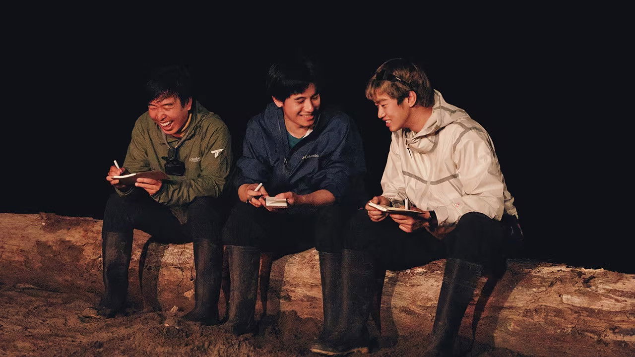 这里没信号 backdrop