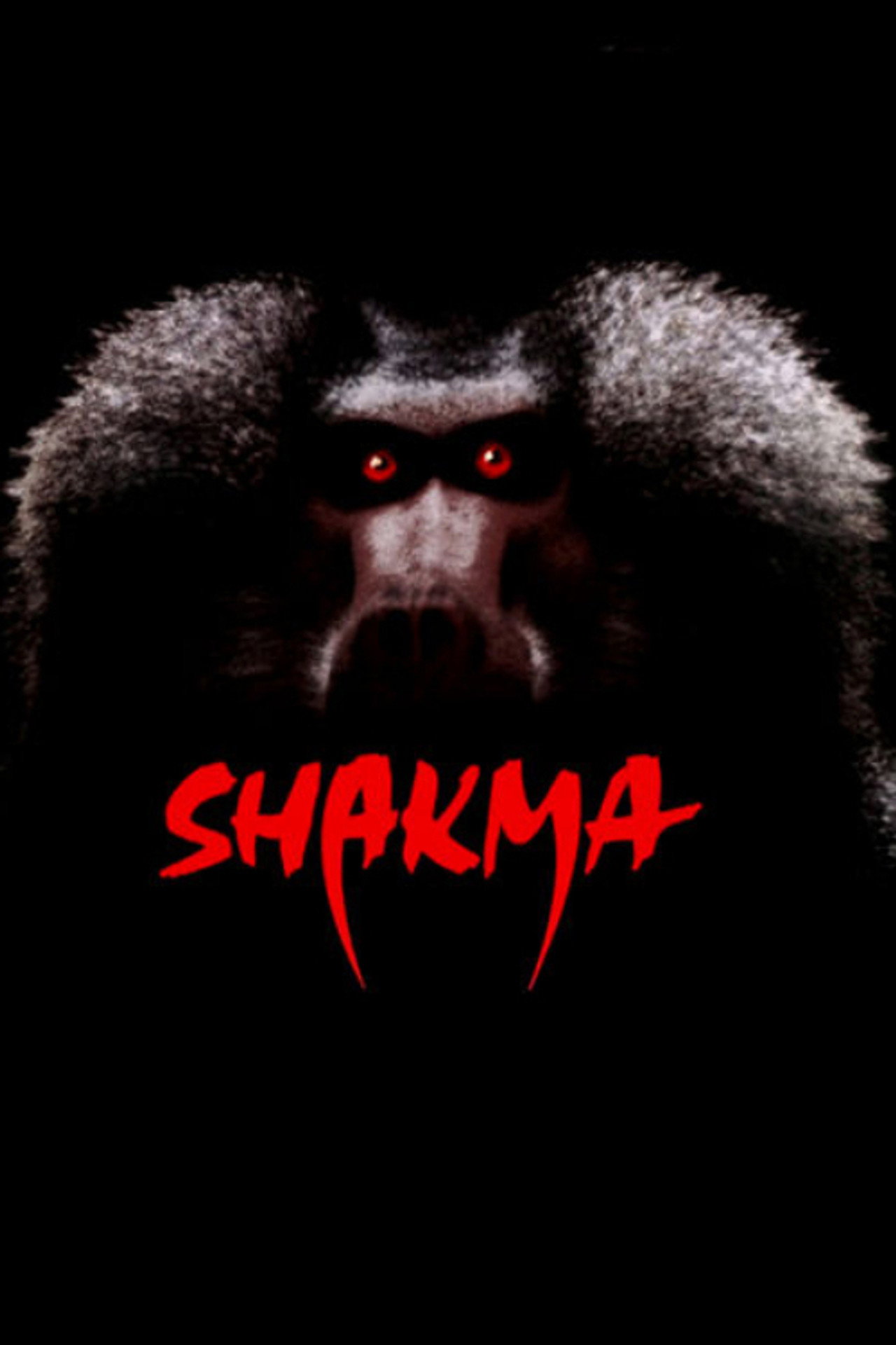 Shakma – plakát 5