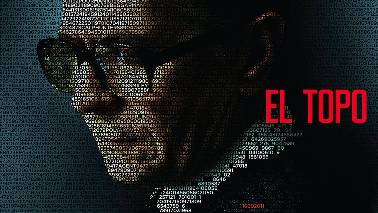 Tinker Tailor Soldier Spy (2011)