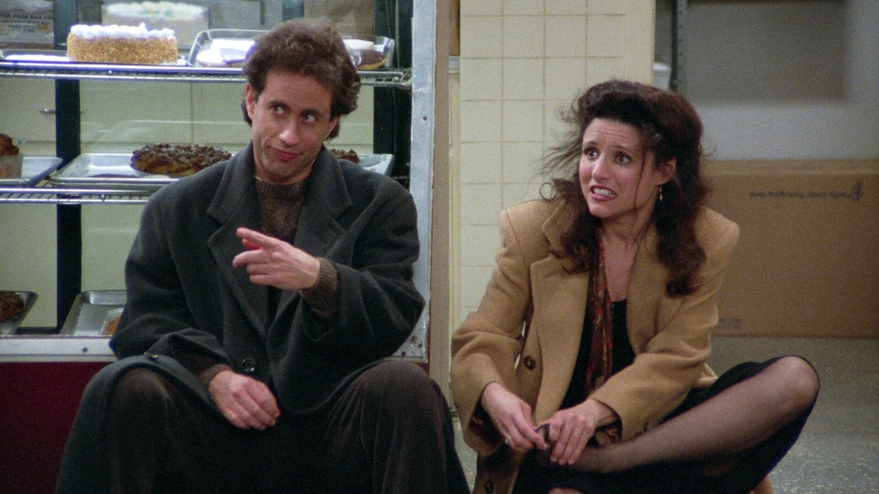 Seinfeld - Season 5 Episode 13 : The Dinner Party