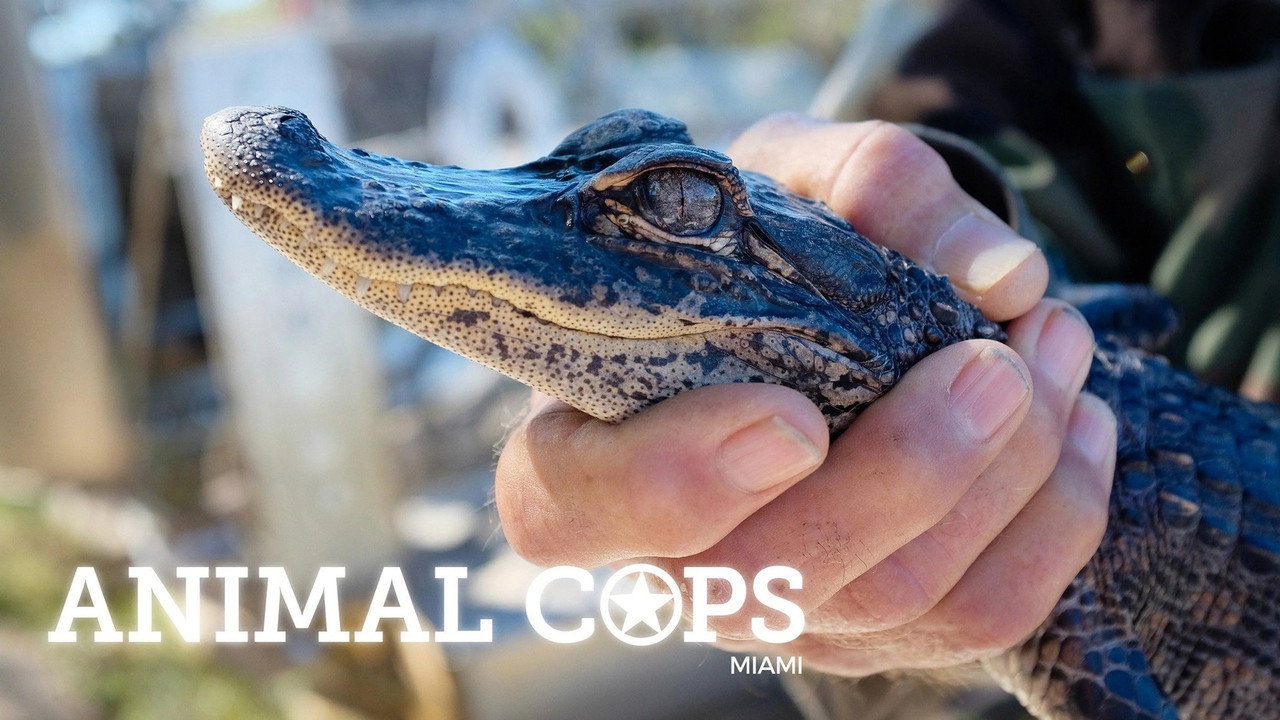 Animal Cops: Miami still 3