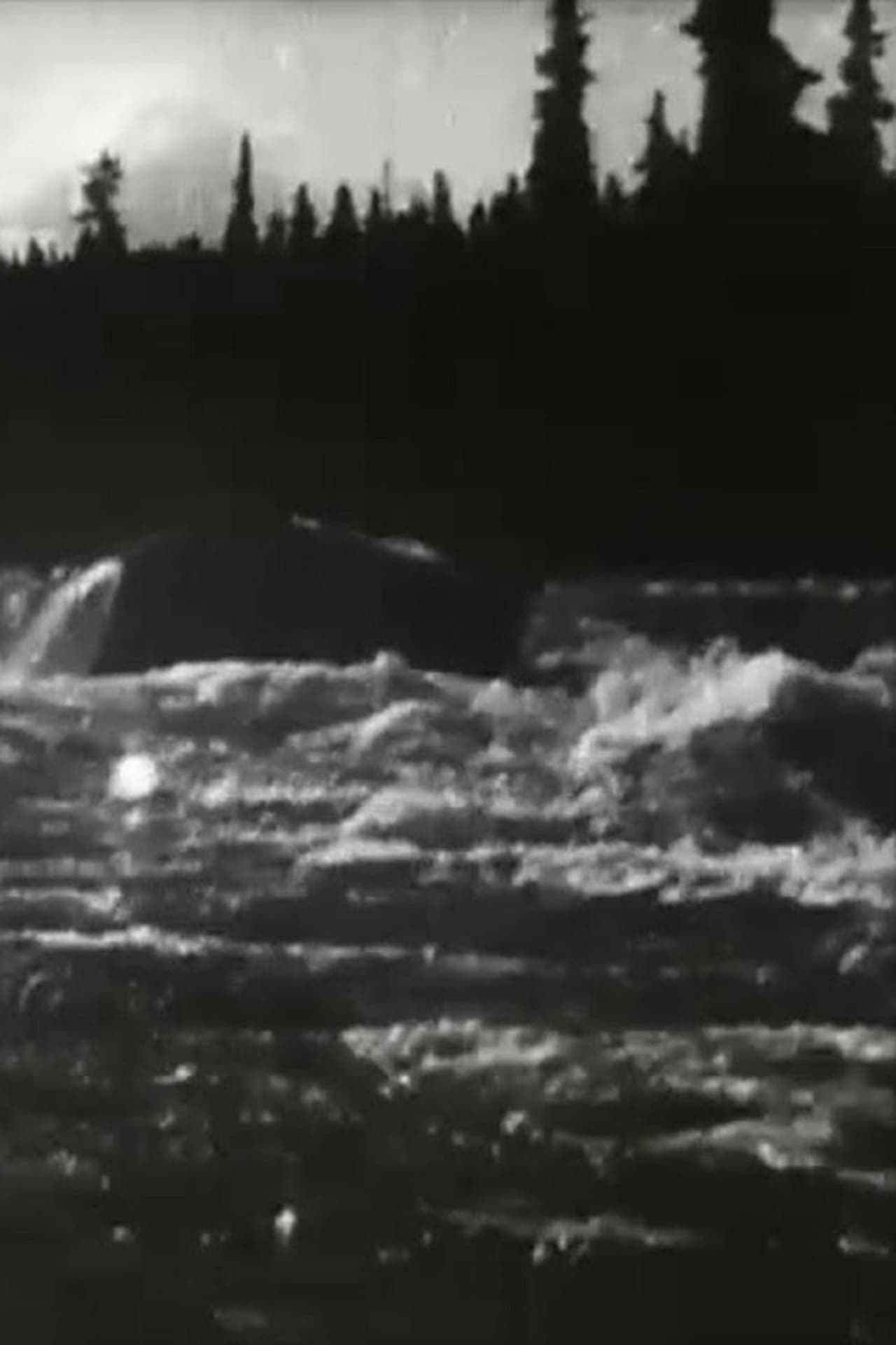 White Horse Rapids (1900)