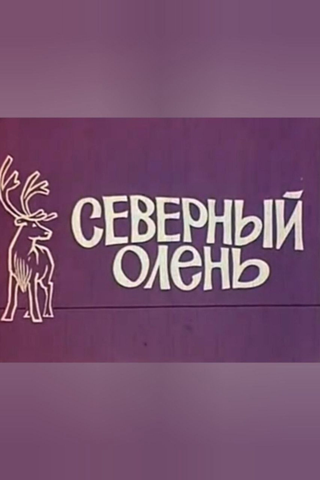 Reindeer