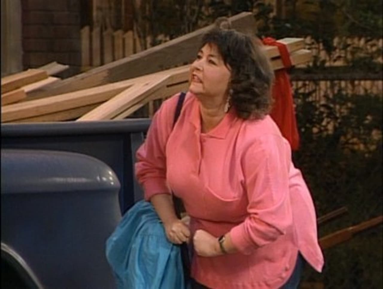 Roseanne - Season 1 Episode 16 : Mall Story