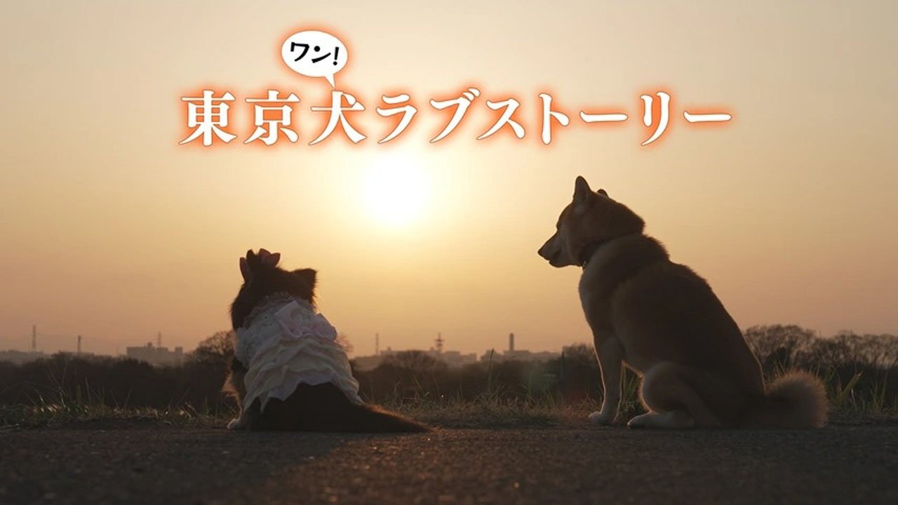 Tokyo Dog Love Story