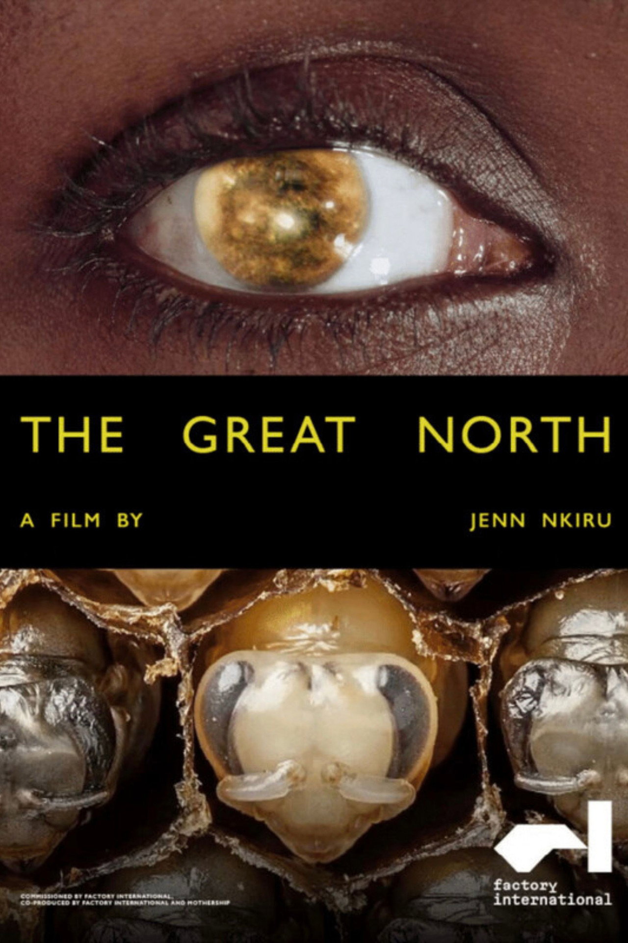 The Great North