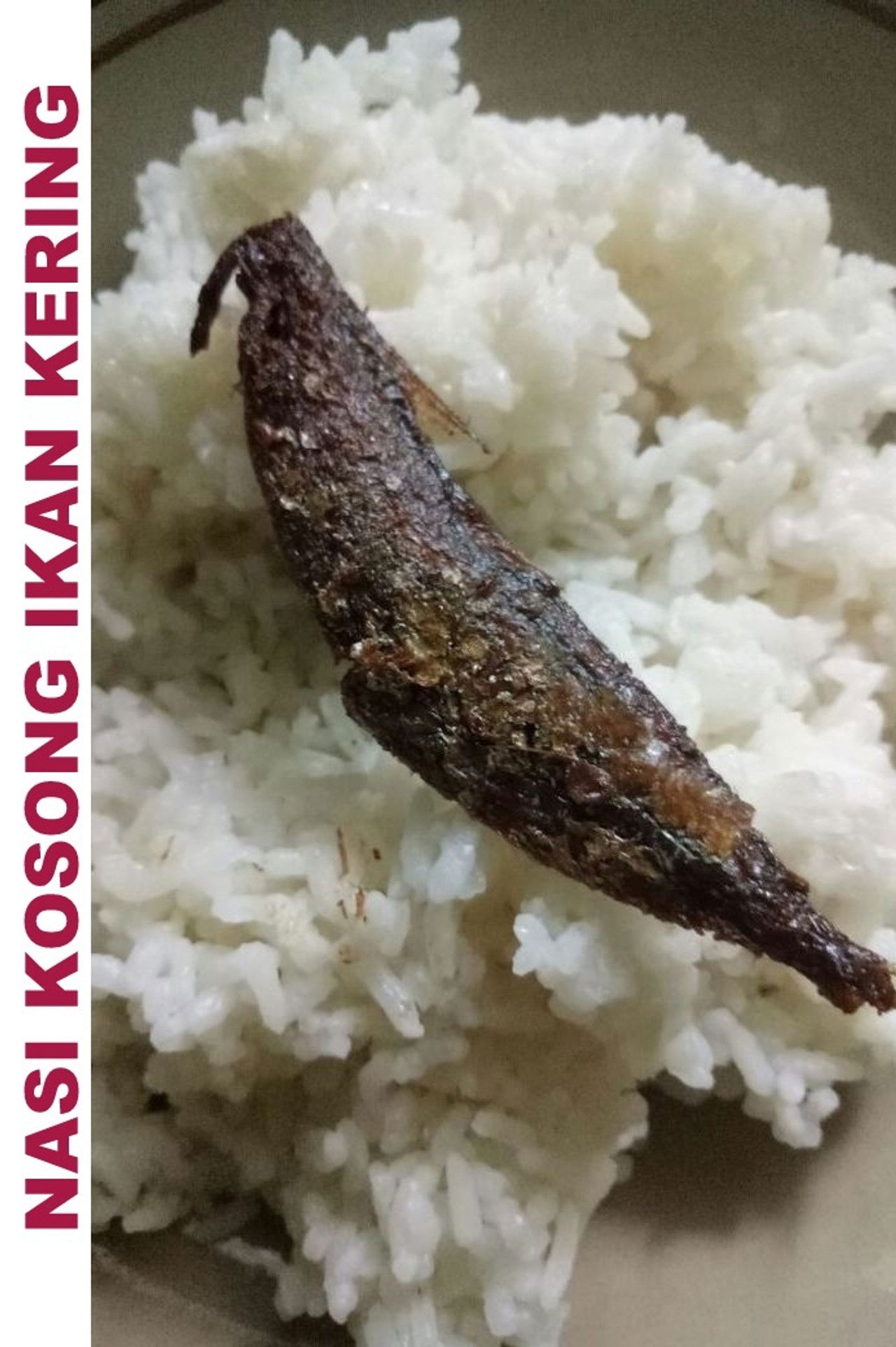 Nasi Kosong Ikan Kering Backdrop