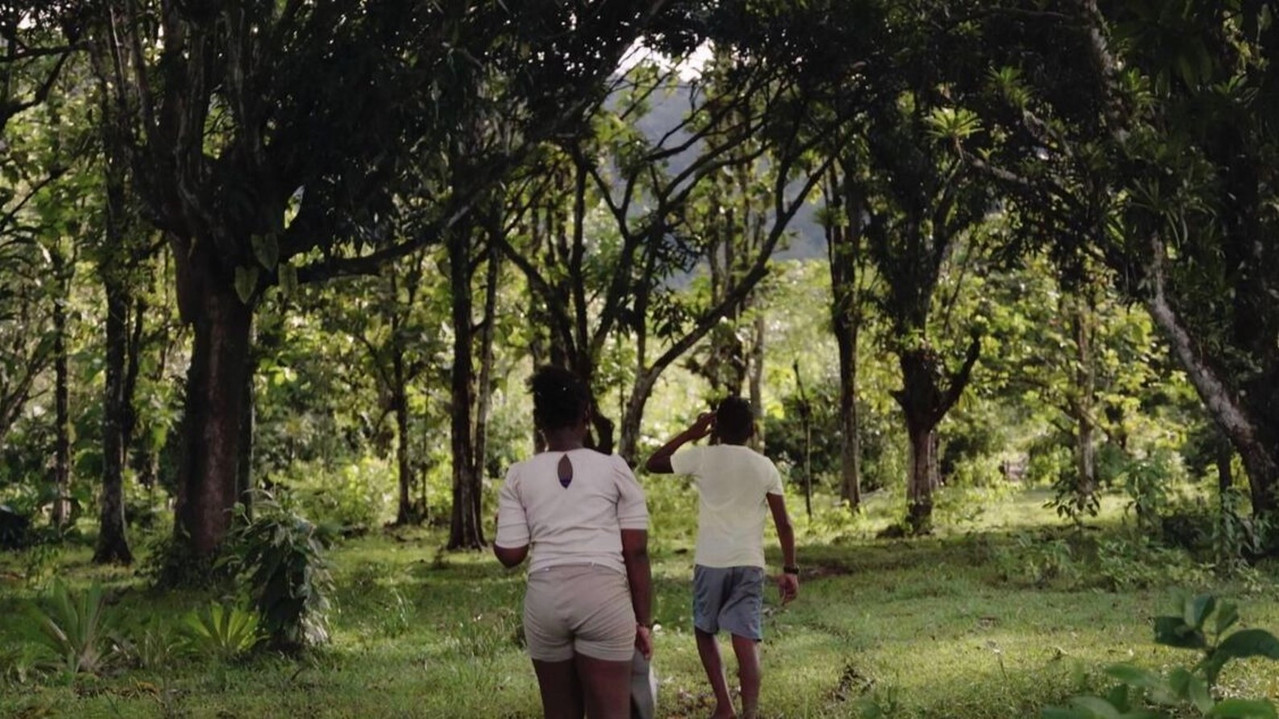 Immagine di copertina del trailer di El Sueño