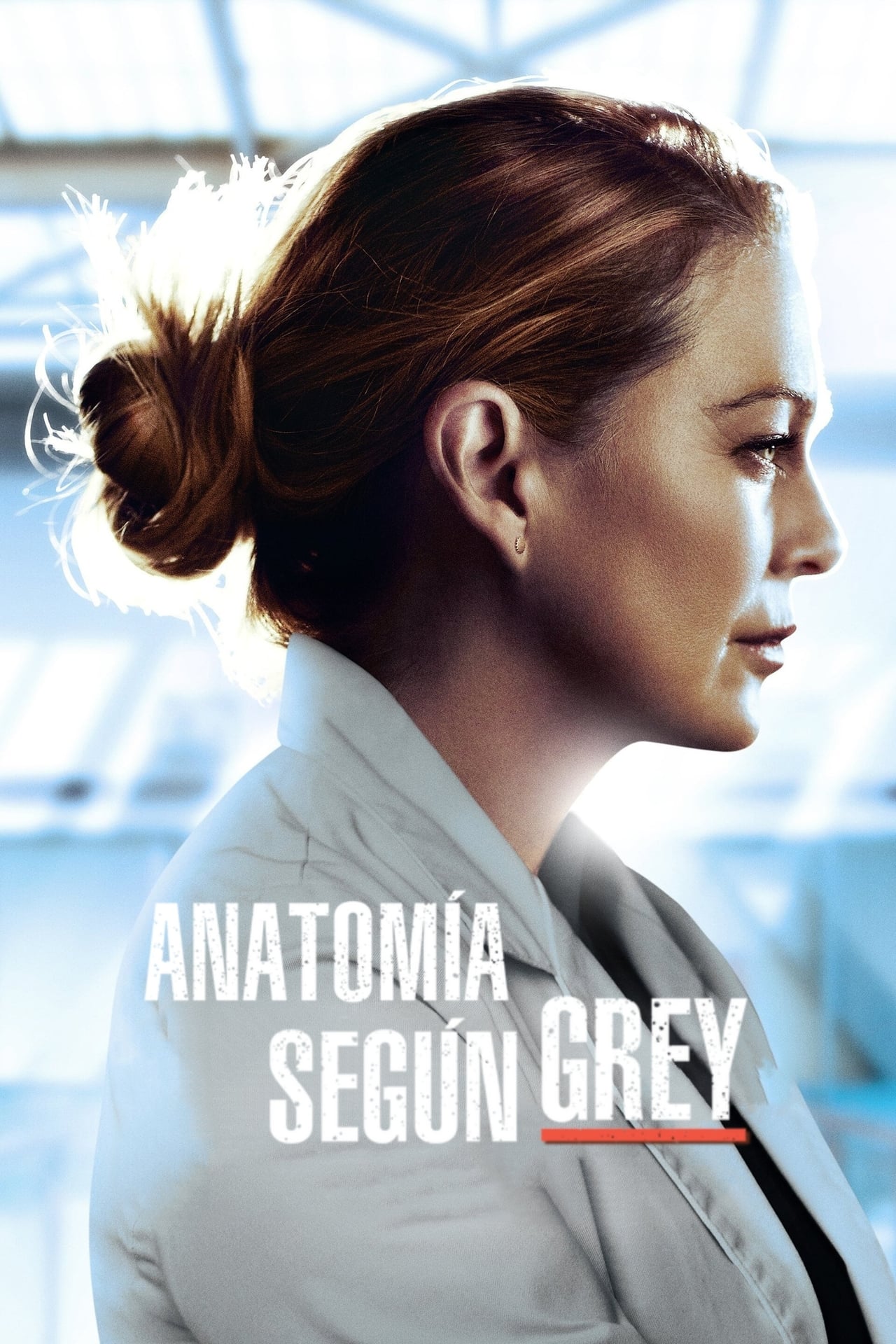 AnatomÃ­a de Grey - Temporada 11