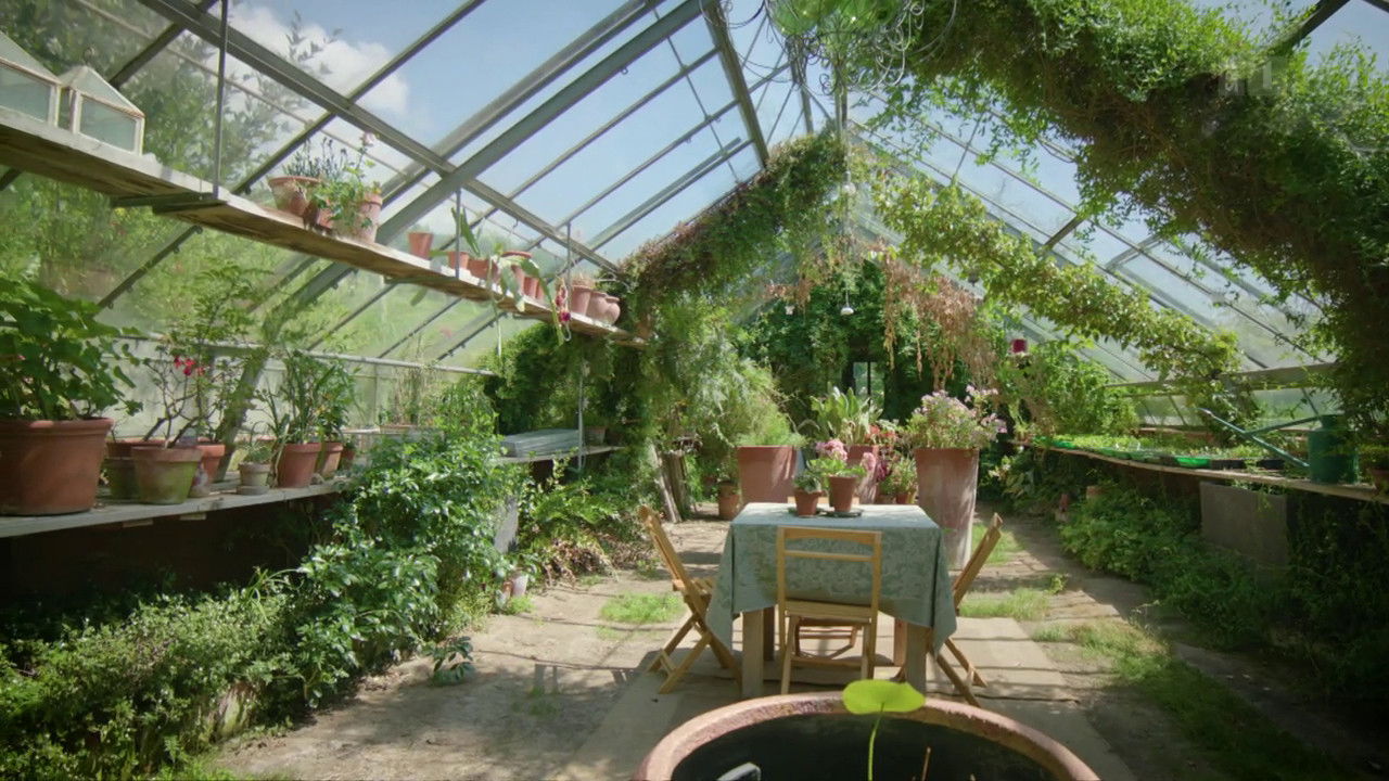 An experimental garden