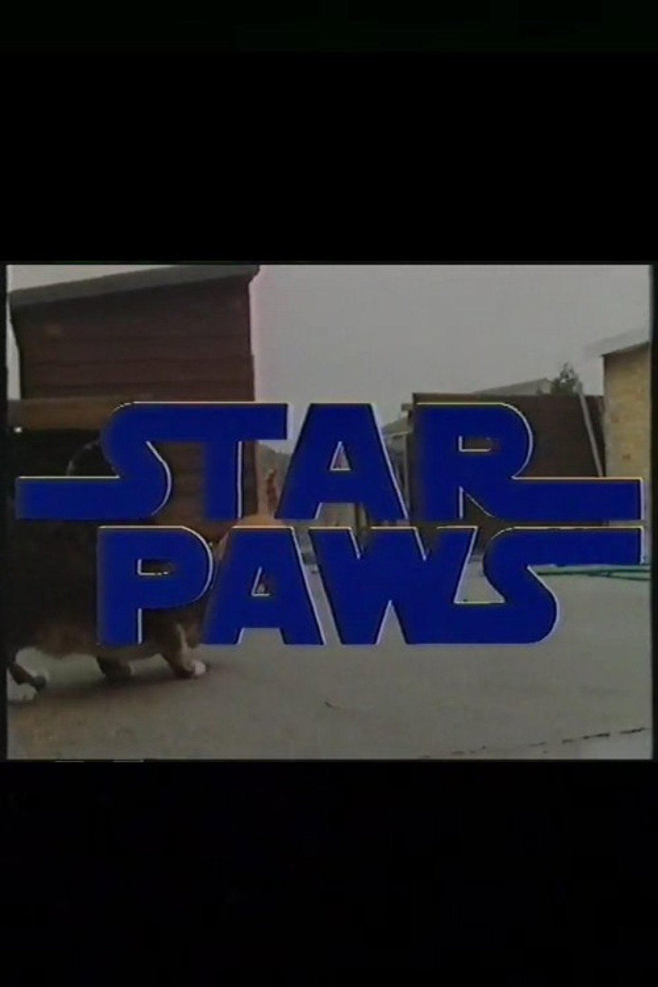 Star Paws