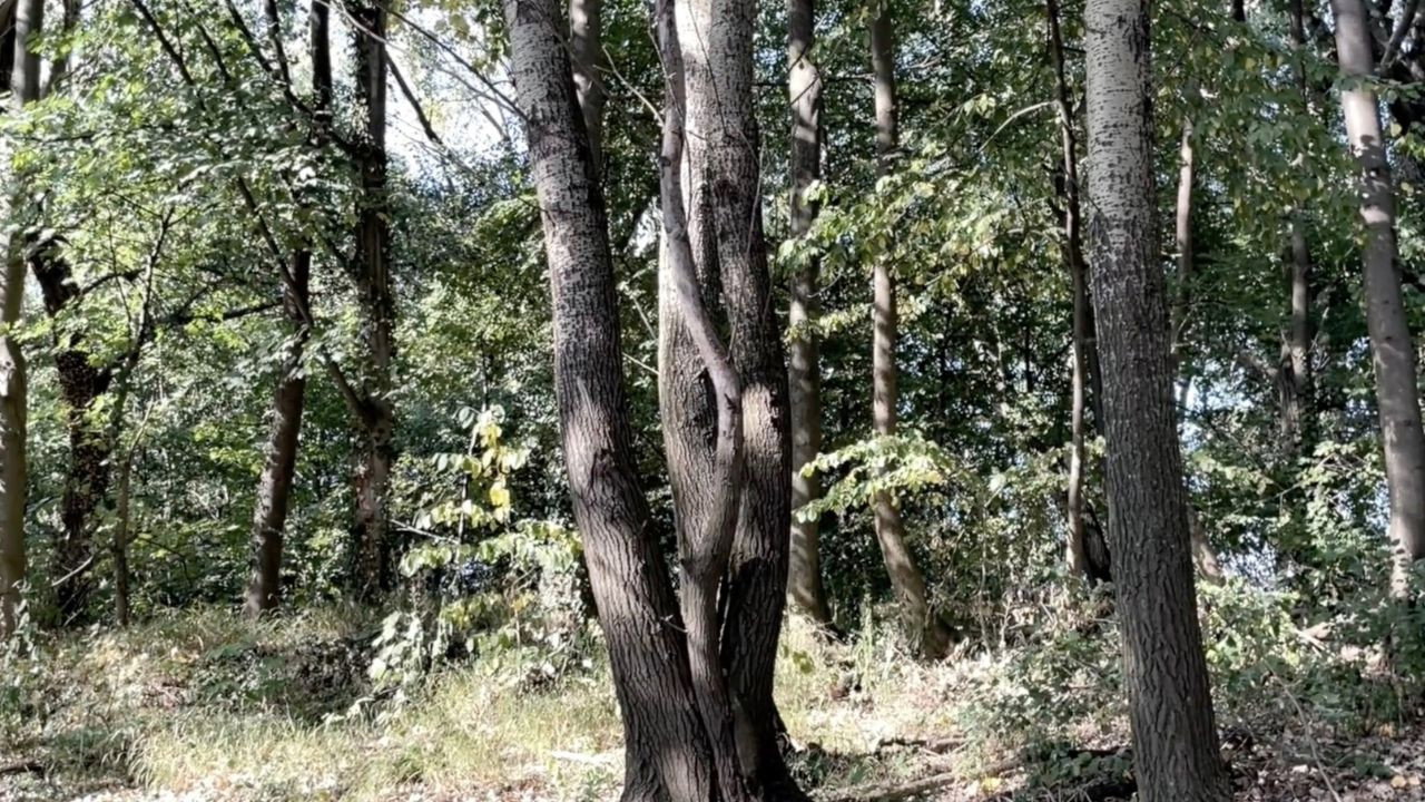 Statusbericht still 3
