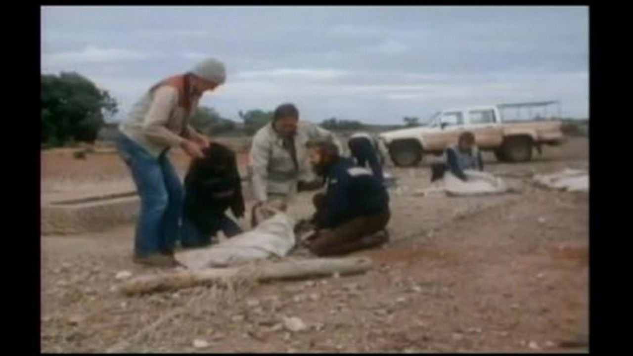 Mutual of Omaha's Wild Kingdom — Épisode 2