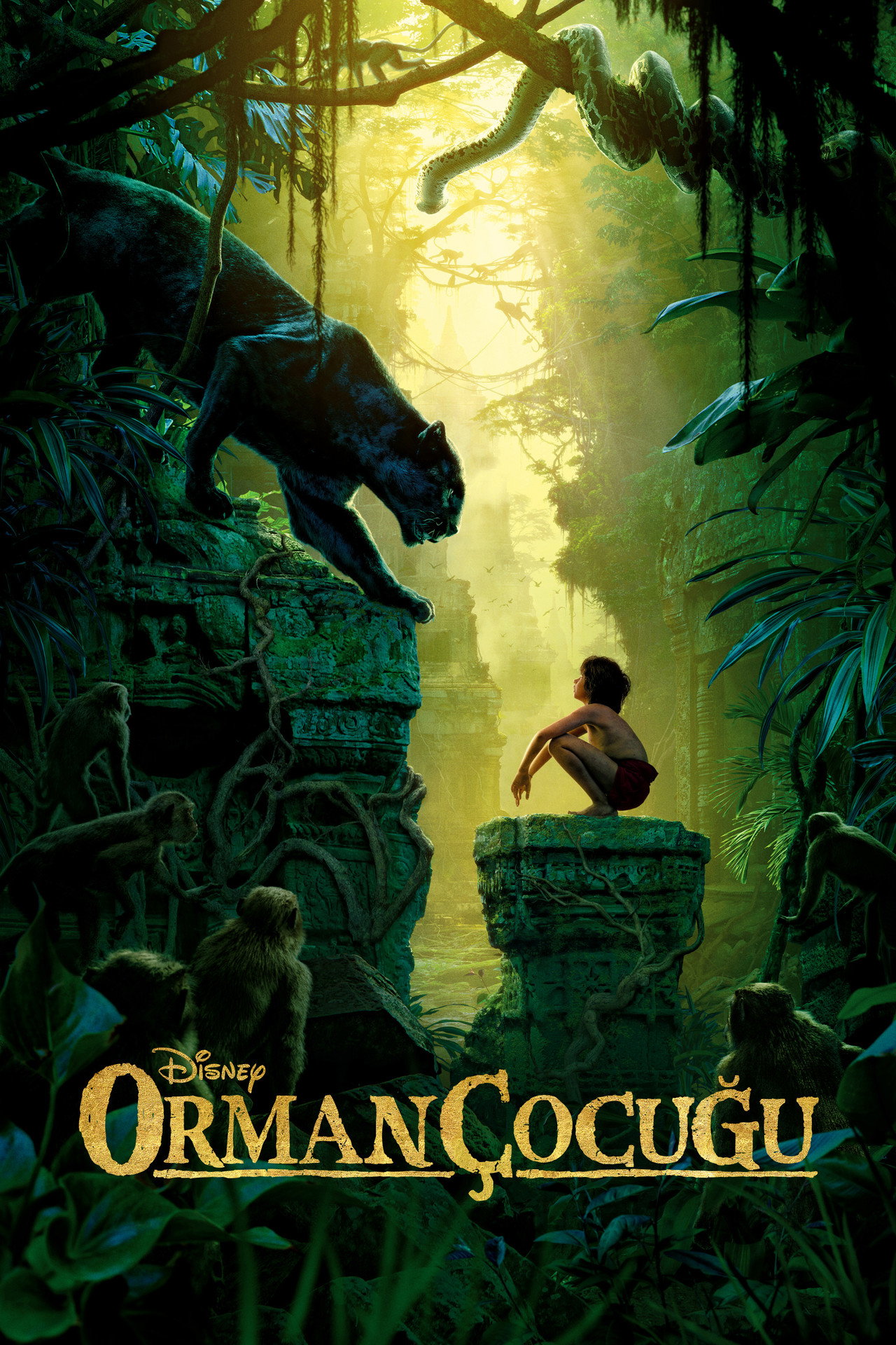 Orman Çocuğu Poster