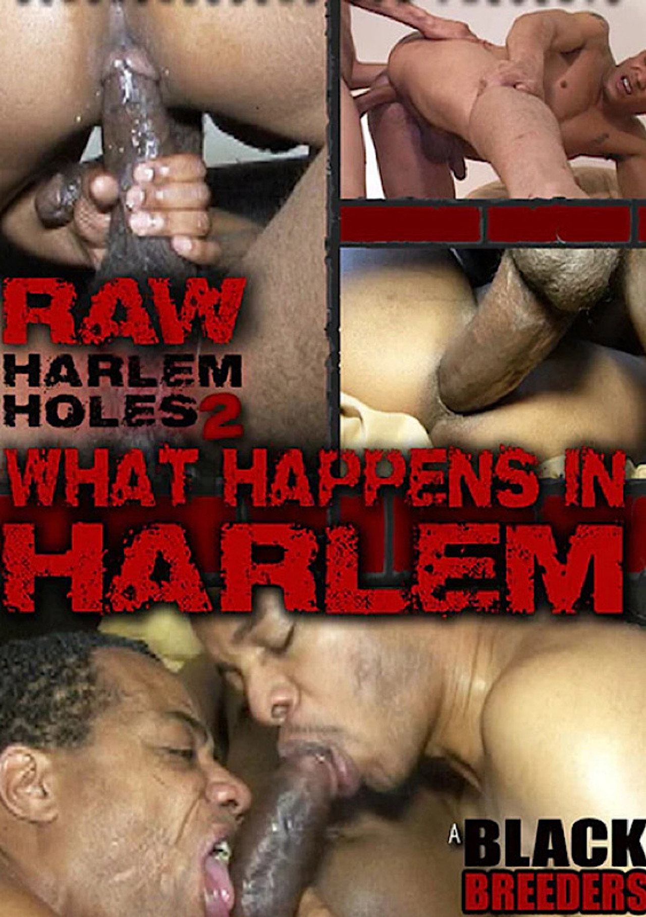 Raw Harlem Holes 2: What Happens in Harlem filmaffisch