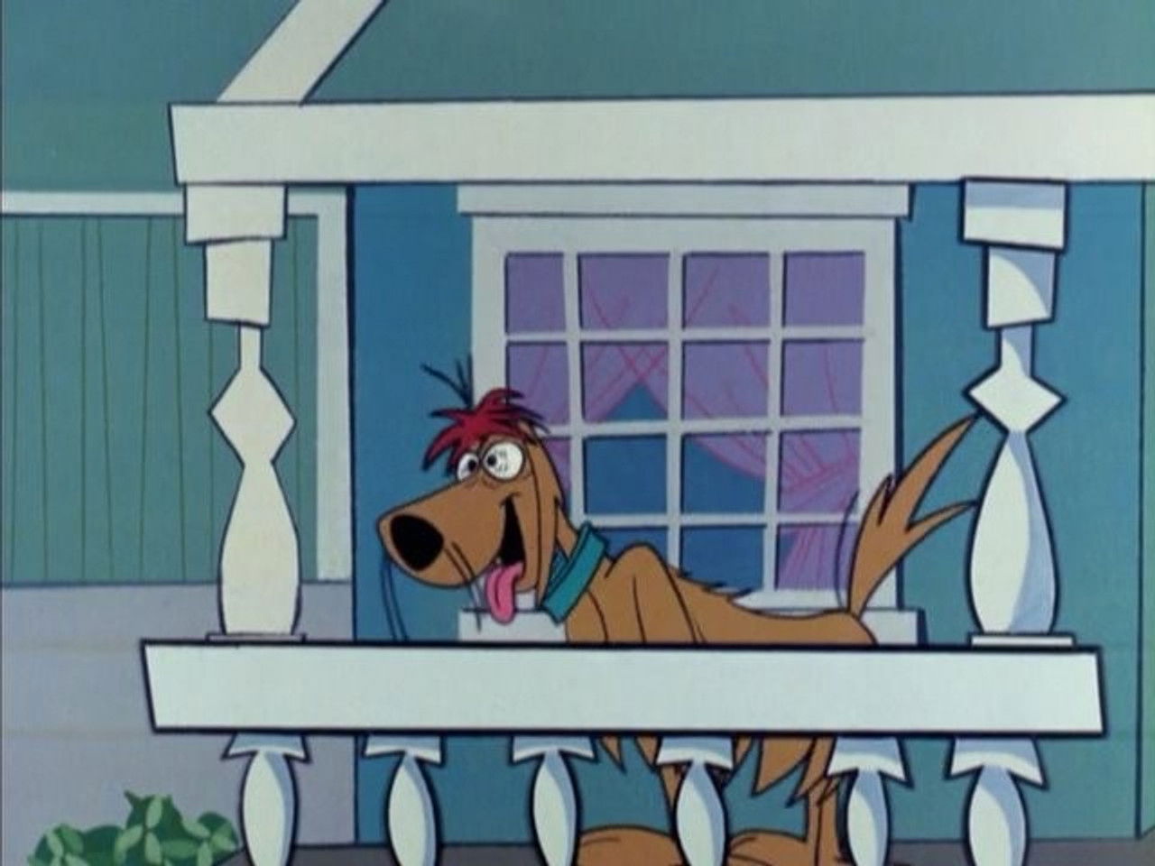 Precious Pupp — Épisode 8