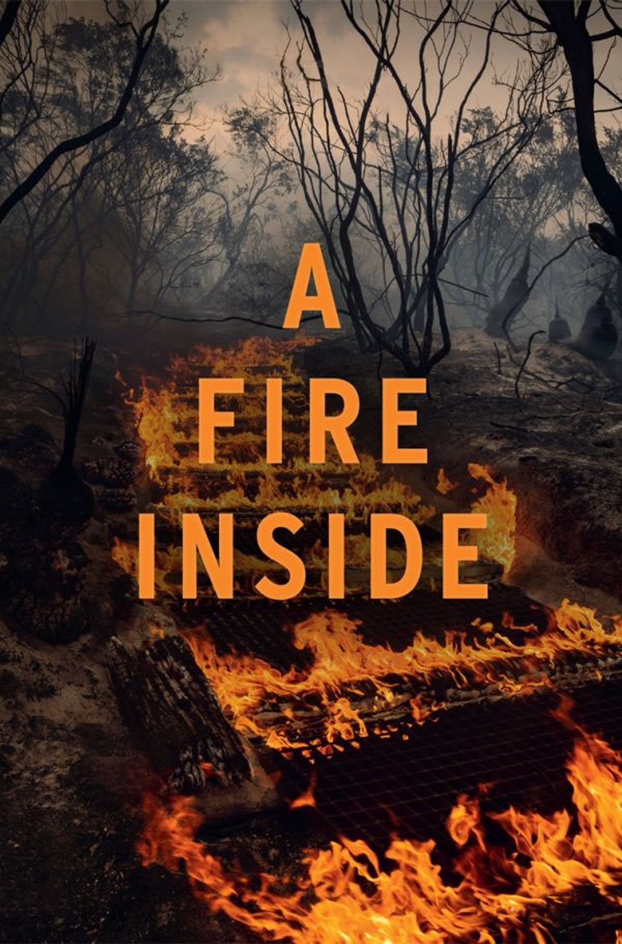 A Fire Inside filmaffisch