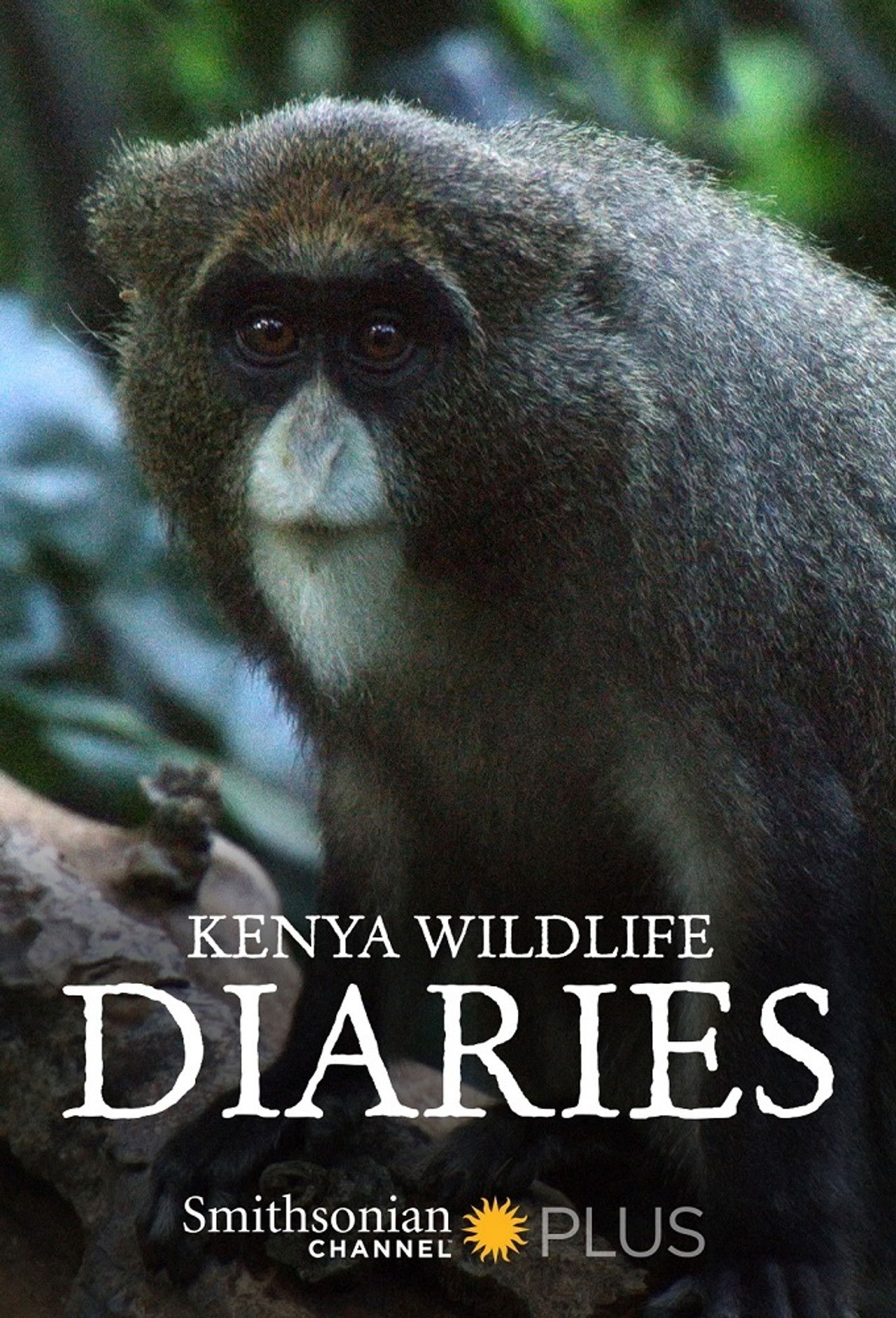 Kenya Wildlife Diaries poster