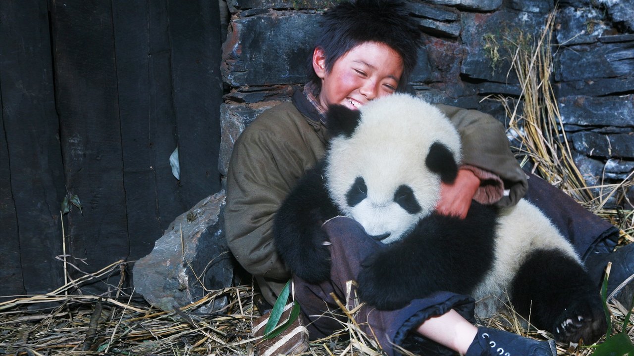 Trail of the Panda Backdrop Image