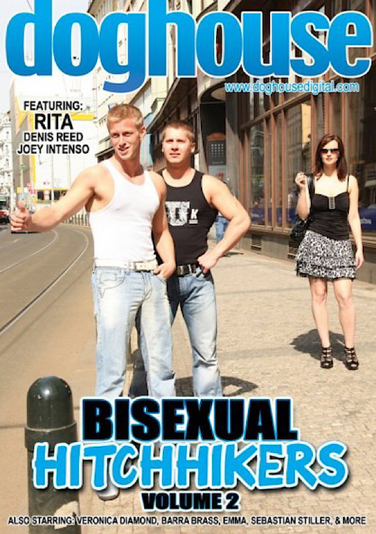 Bisexual Hitchhikers 2 filmaffisch