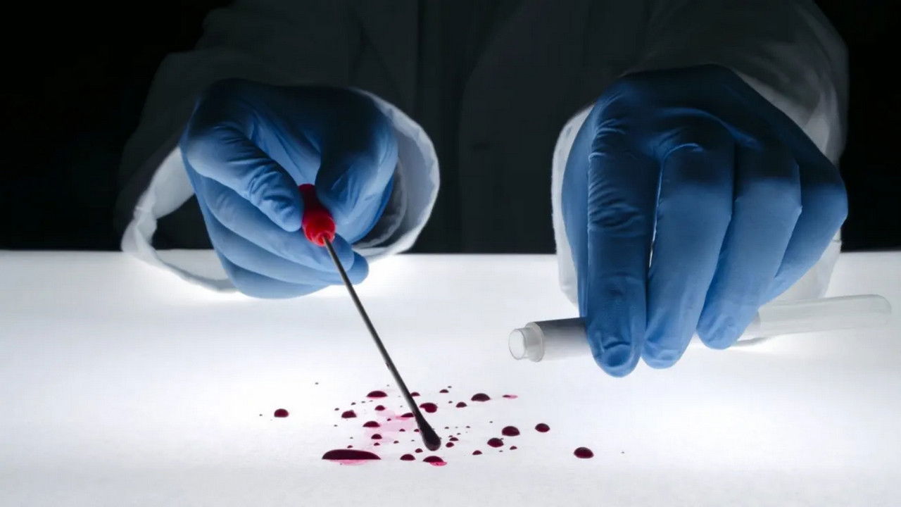 Les Nouveaux Detectives — Indices photographiques