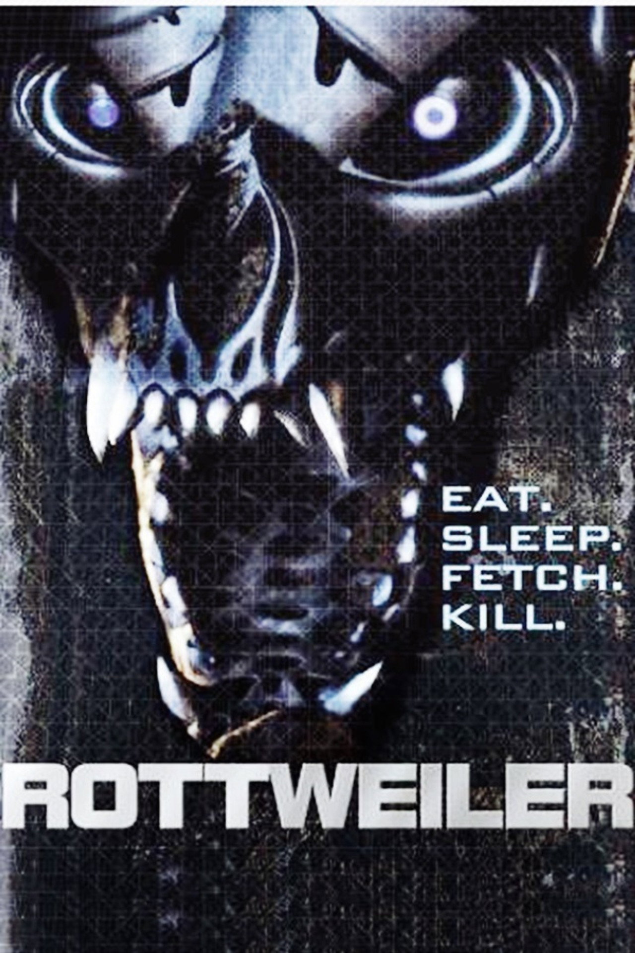 Rottweiler - A halálkutya – plakát 6