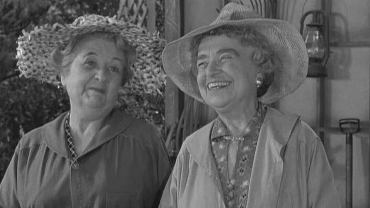 The Andy Griffith Show - Season 1 Episode 17 : Alcohol and Old Lace