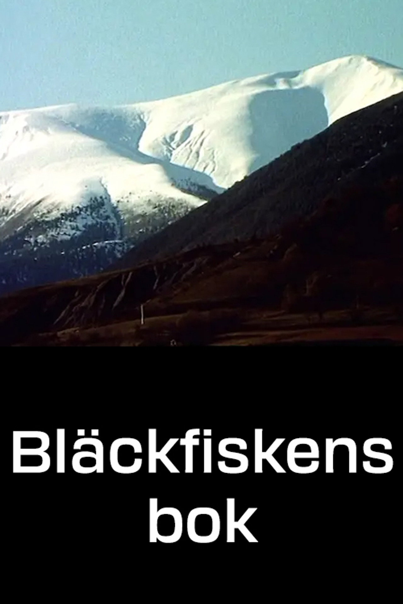 Bläckfiskens bok filmaffisch