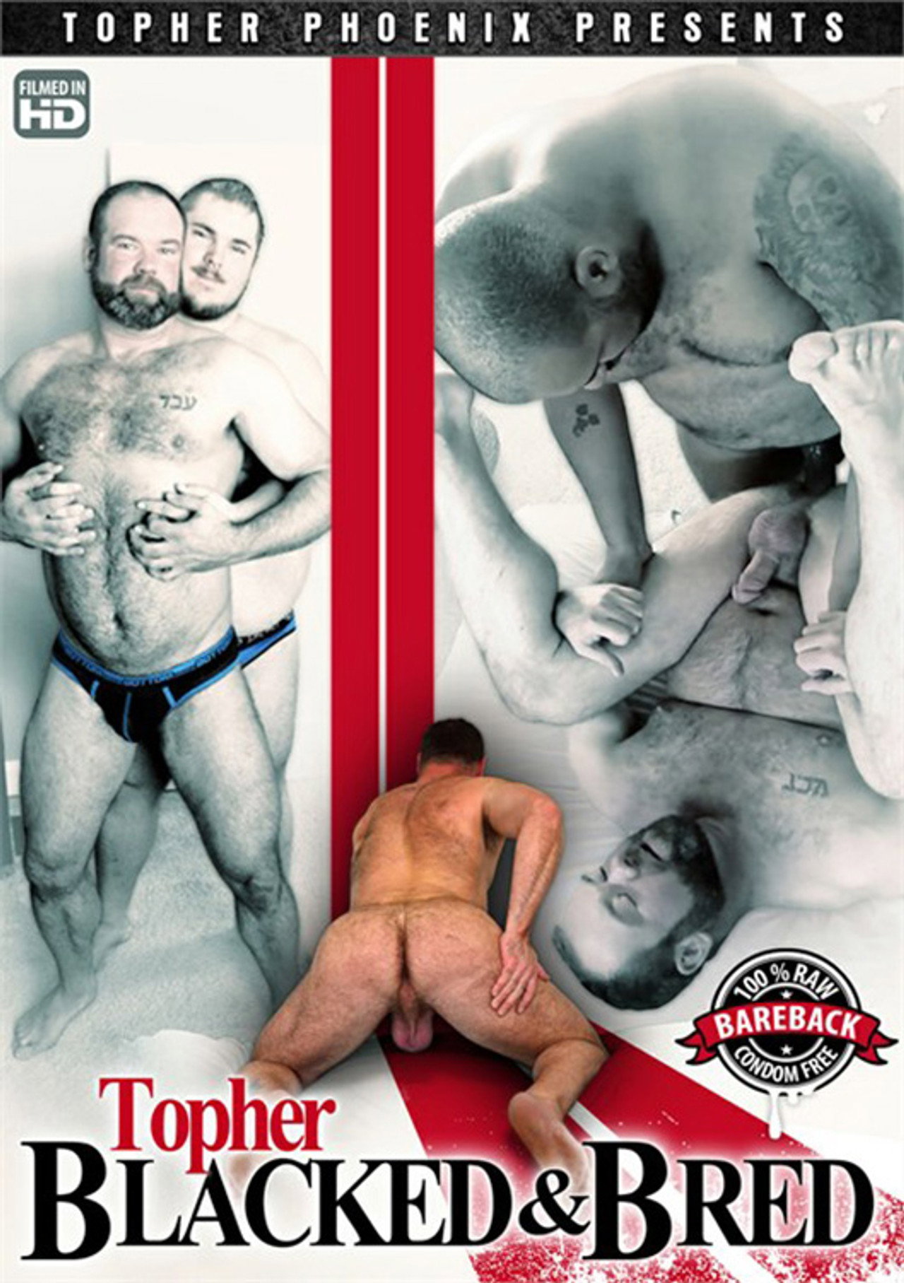 Topher Blacked & Bred Backdrop