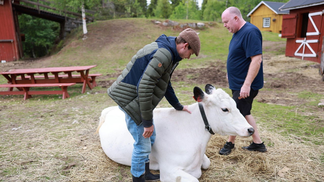 Farmen Kjendis — Épisode 11