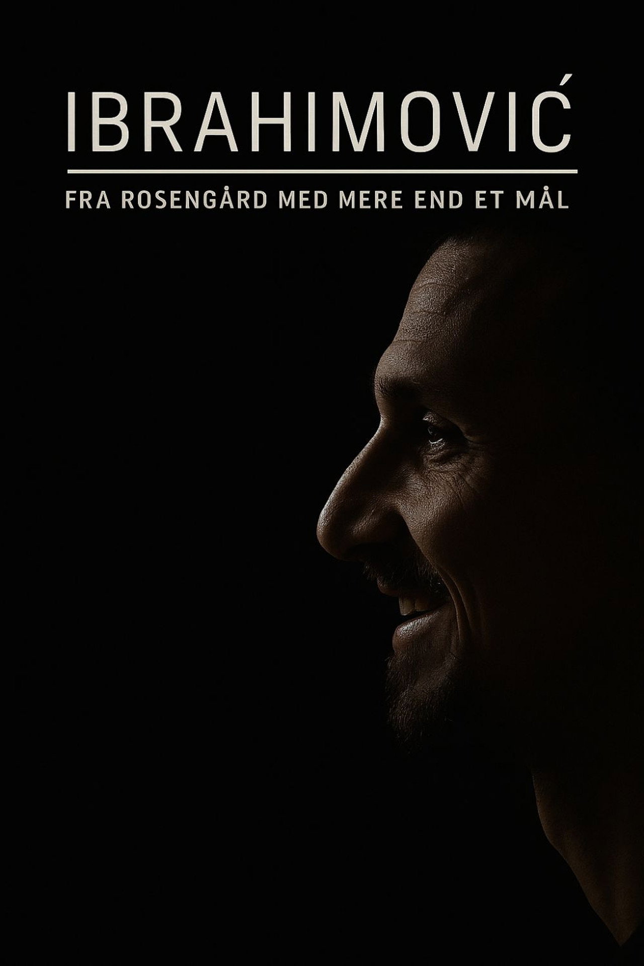 Ibrahimovic - Från Rosengård med mer än ett mål affisch