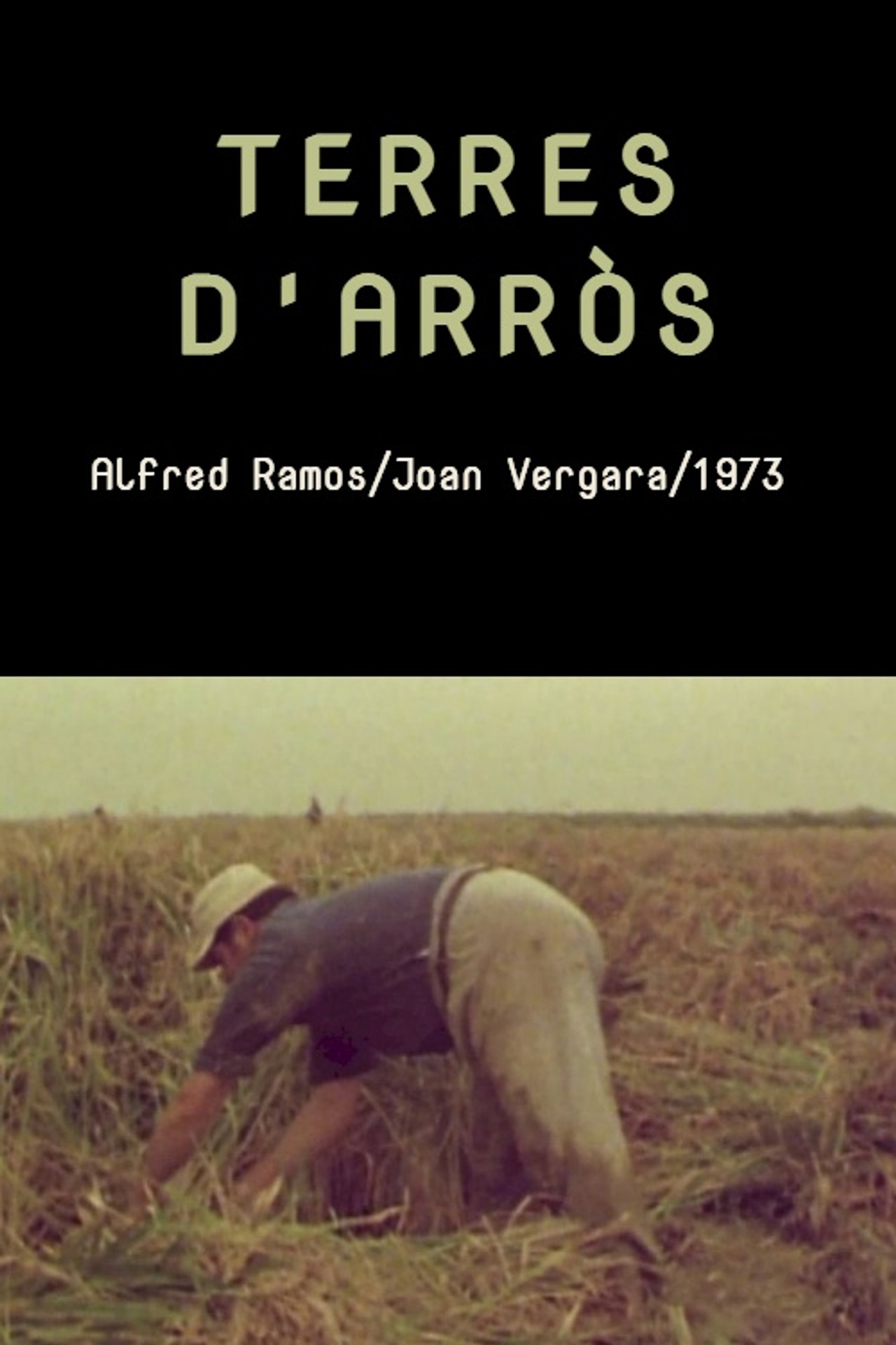 Terres d'arròs