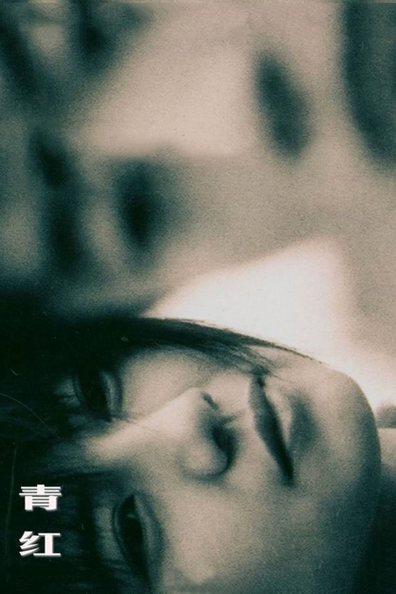青红 filmaffisch