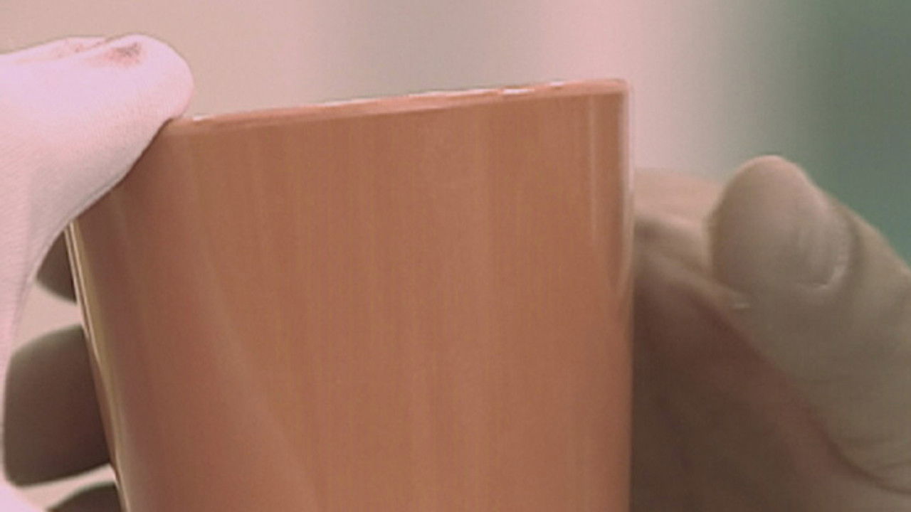 法證先鋒 — Épisode 25