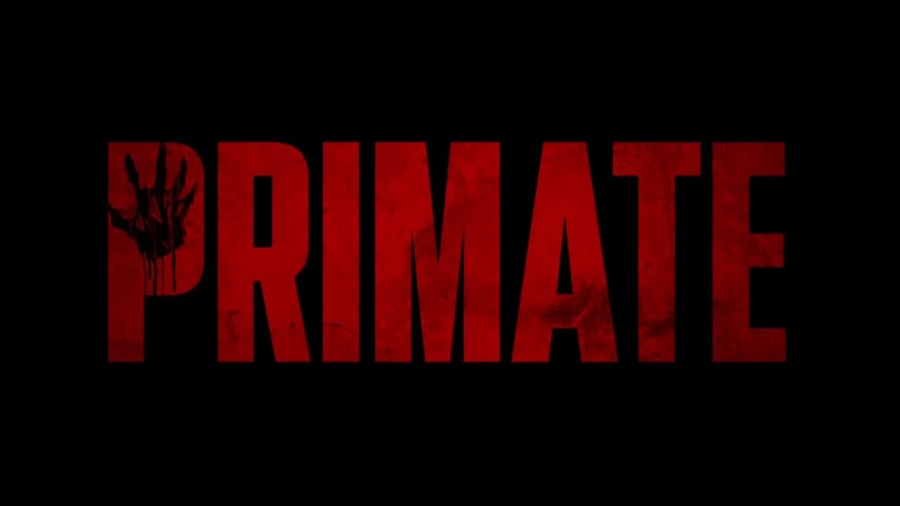 Primate