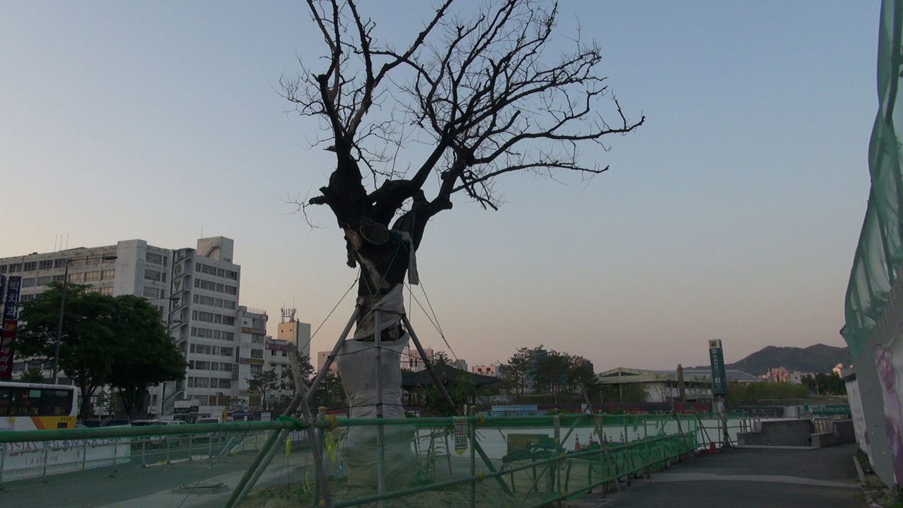 Vija e shtëpisë së gjyshes backdrop