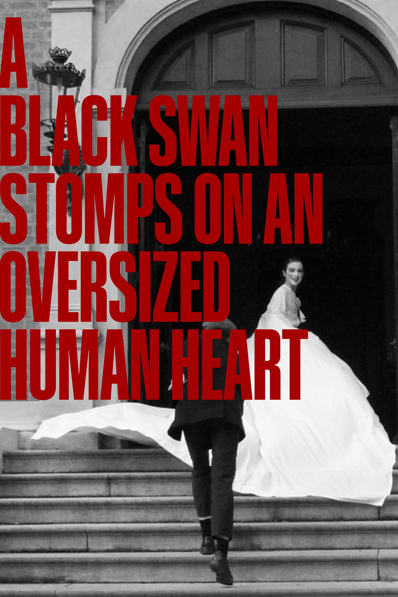 A Black Swan Stomps On An Oversized Human Heart Backdrop