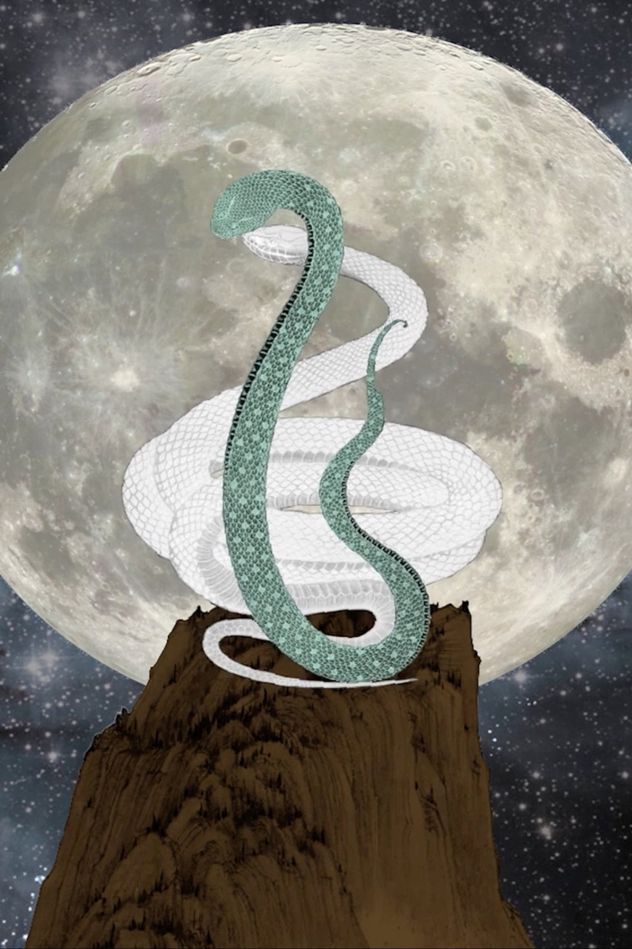 Two Snakes