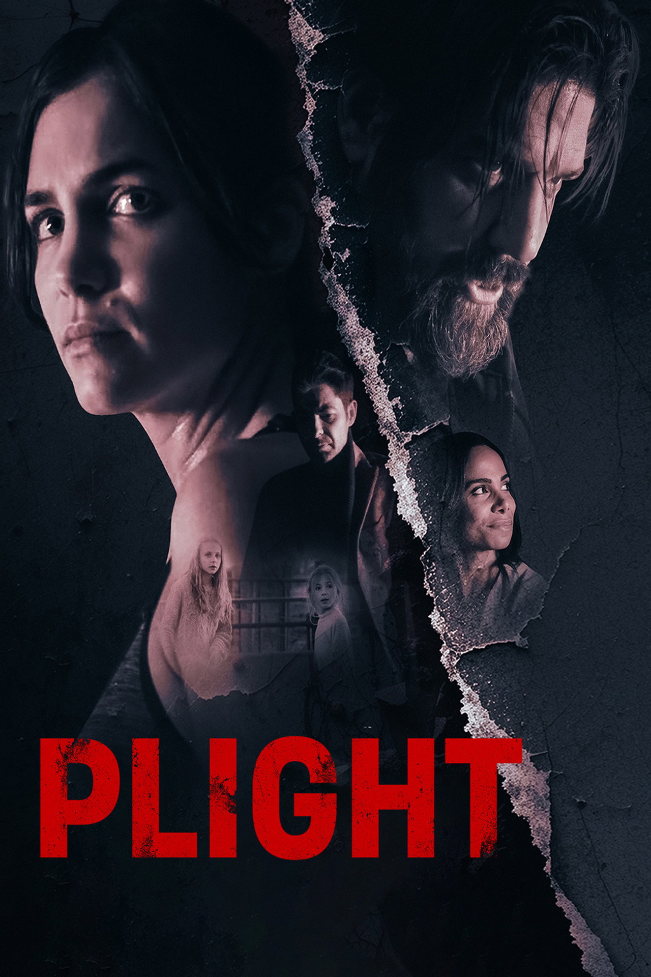 Plight poster
