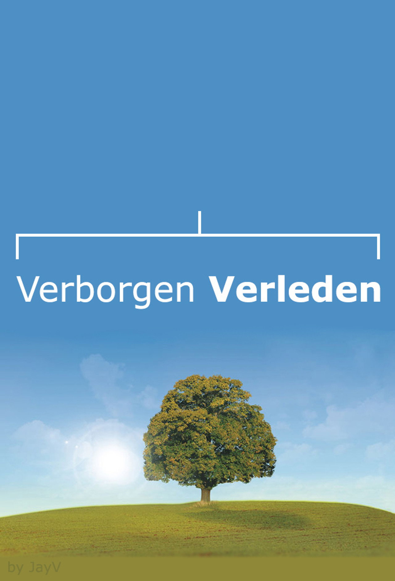 Verborgen Verleden affisch