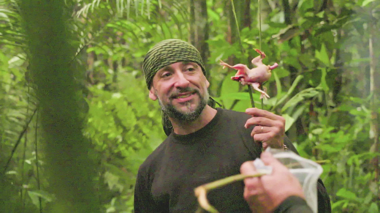 Desafio em Dose Dupla Brasil — Épisode 4