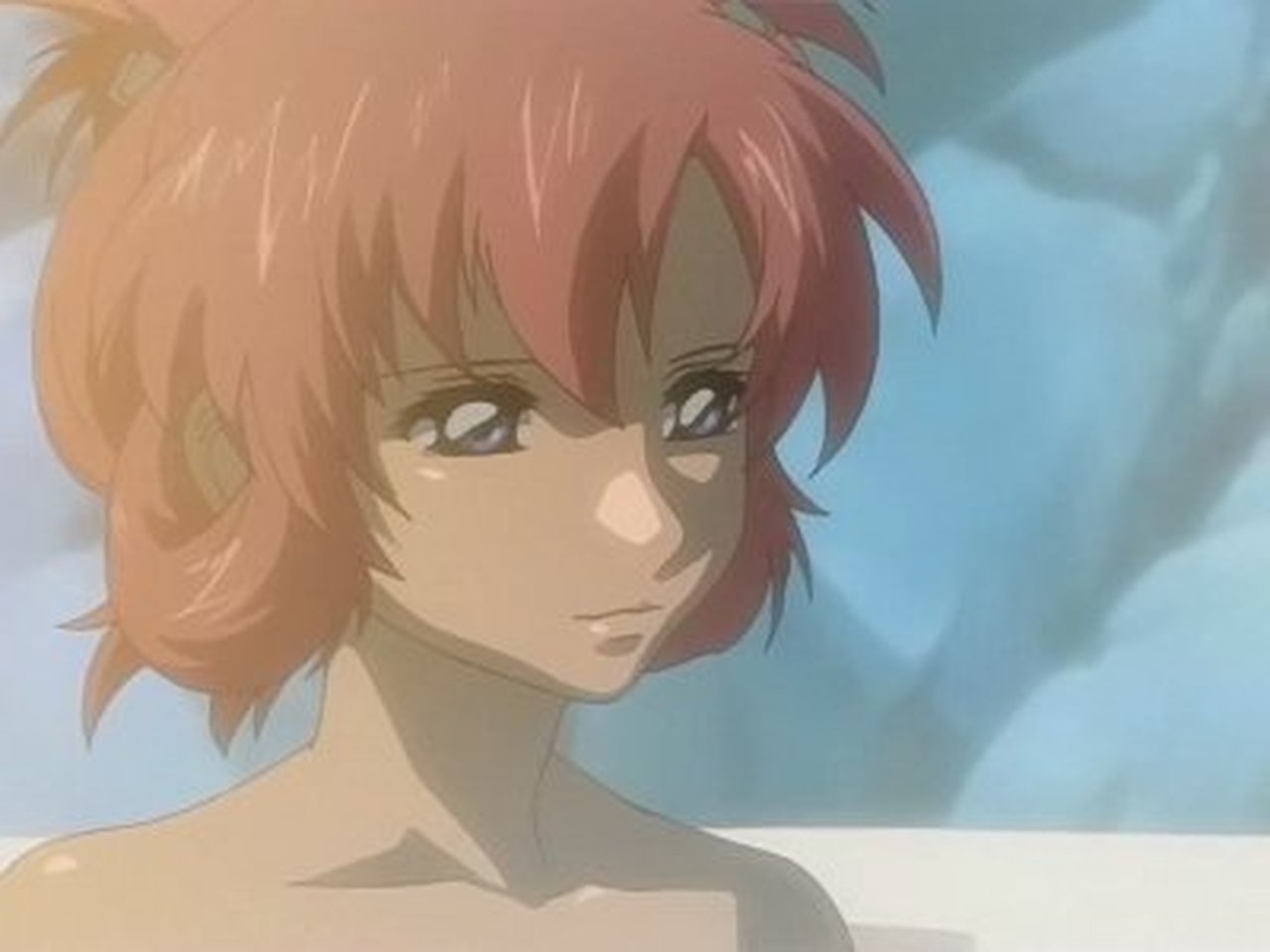 Mobile Suit Gundam SEED - Season 2 Episode 24 : Differing Views