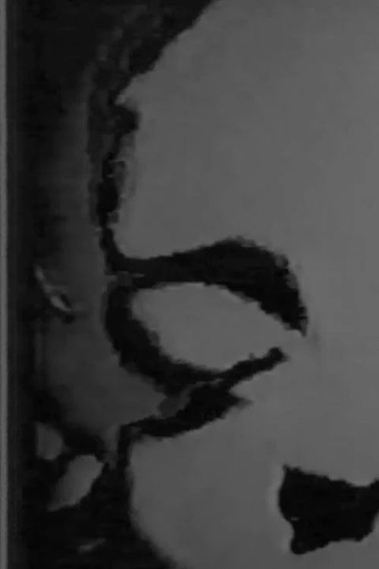 Excerpt from 'INDEPENDENCIA 86: The Lost Film of Arturo Madlangbayan' filmaffisch